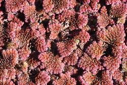 Image: Trevor James © Trevor James 